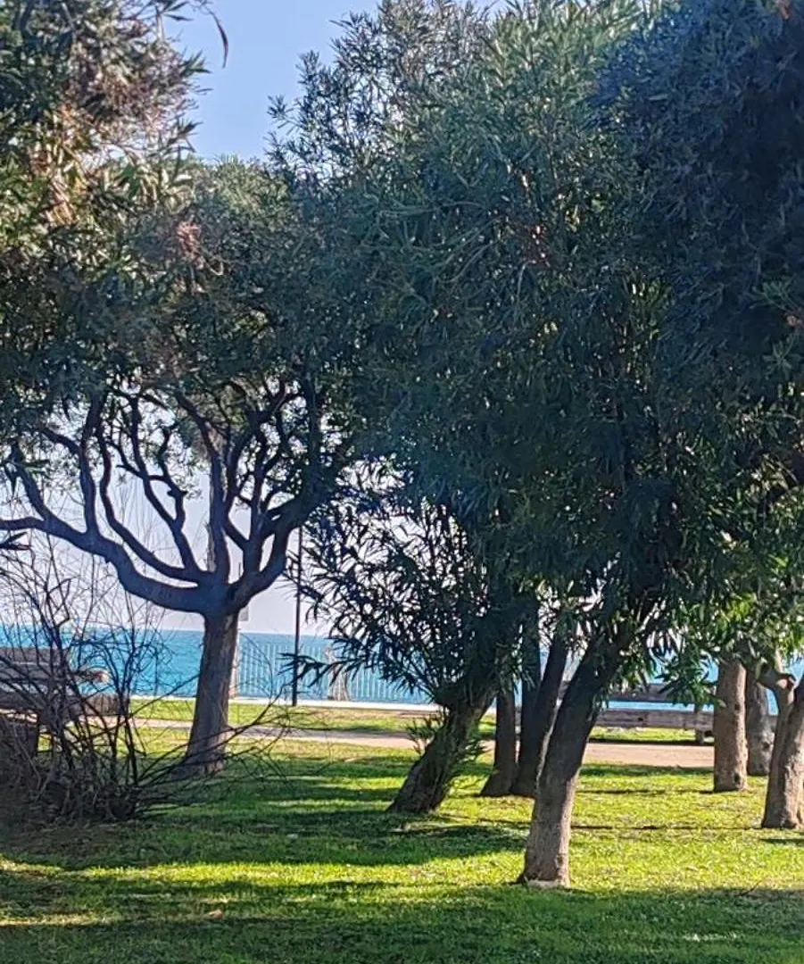 Casetta Sul Mare سافونا